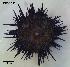  ( - LMBSCt16-002)  @13 [ ] Unspecified (default): All Rights Reserved (2012) Unspecified Unspecified