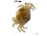  ( - LMBRUI2-001)  @12 [ ] Unspecified (default): All Rights Reserved  Unspecified Unspecified