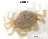  ( - LMBRUI2-001)  @12 [ ] Unspecified (default): All Rights Reserved  Unspecified Unspecified