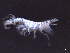  ( - SAL3-004)  @12 [ ] Unspecified (default): All Rights Reserved (2012) Unspecified Unspecified