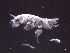  ( - SAL3-005)  @13 [ ] Unspecified (default): All Rights Reserved (2012) Unspecified Unspecified