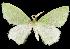  ( - 06-BLLOC-192)  @14 [ ] CreativeCommons - Attribution (2010) Unspecified Centre for Biodiversity Genomics