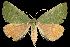  ( - 06-BLLOC-337)  @14 [ ] CreativeCommons - Attribution (2010) Unspecified Centre for Biodiversity Genomics