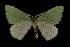  ( - 06-BLLOC-2656)  @13 [ ] CreativeCommons - Attribution (2010) Unspecified Centre for Biodiversity Genomics