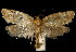  ( - 06-BLLOC-3159)  @13 [ ] CreativeCommons - Attribution (2010) Unspecified Centre for Biodiversity Genomics