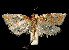  ( - 06-BLLOC-3163)  @14 [ ] CreativeCommons - Attribution (2010) Unspecified Centre for Biodiversity Genomics