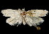  ( - 06-BLLOC-3185)  @14 [ ] CreativeCommons - Attribution (2010) Unspecified Centre for Biodiversity Genomics