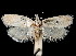  ( - 06-BLLOC-3187)  @14 [ ] CreativeCommons - Attribution (2010) Unspecified Centre for Biodiversity Genomics