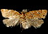  ( - 06-BLLOC-3209)  @14 [ ] CreativeCommons - Attribution (2010) Unspecified Centre for Biodiversity Genomics
