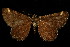  ( - 06-BLLOC-3220)  @14 [ ] CreativeCommons - Attribution (2010) Unspecified Centre for Biodiversity Genomics
