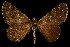  ( - 06-BLLOC-3221)  @14 [ ] CreativeCommons - Attribution (2010) Unspecified Centre for Biodiversity Genomics