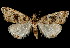  ( - 06-BLLOC-3222)  @14 [ ] CreativeCommons - Attribution (2010) Unspecified Centre for Biodiversity Genomics