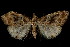  ( - 06-BLLOC-3223)  @13 [ ] CreativeCommons - Attribution (2010) Unspecified Centre for Biodiversity Genomics
