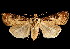  ( - 06-BLLOC-3230)  @14 [ ] CreativeCommons - Attribution (2010) Unspecified Centre for Biodiversity Genomics