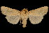  ( - 06-BLLOC-3237)  @14 [ ] CreativeCommons - Attribution (2010) Unspecified Centre for Biodiversity Genomics