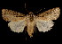  ( - 06-BLLOC-3239)  @14 [ ] CreativeCommons - Attribution (2010) Unspecified Centre for Biodiversity Genomics