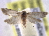  ( - BIOUG11928-B02)  @13 [ ] CreativeCommons - Attribution (2014) CBG Photography Group Centre for Biodiversity Genomics