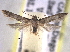  ( - BIOUG11928-E01)  @14 [ ] CreativeCommons - Attribution (2014) CBG Photography Group Centre for Biodiversity Genomics