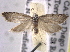  ( - BIOUG11928-E07)  @13 [ ] CreativeCommons - Attribution (2014) CBG Photography Group Centre for Biodiversity Genomics