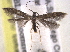  ( - BIOUG11928-G07)  @14 [ ] CreativeCommons - Attribution (2014) CBG Photography Group Centre for Biodiversity Genomics