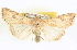  ( - BIOUG06176-G05)  @14 [ ] CreativeCommons - Attribution (2012) CBG Photography Group Centre for Biodiversity Genomics