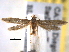  ( - BIOUG06259-A09)  @14 [ ] CreativeCommons - Attribution (2013) CBG Photography Group Centre for Biodiversity Genomics