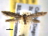  ( - BIOUG06259-A11)  @14 [ ] CreativeCommons - Attribution (2013) CBG Photography Group Centre for Biodiversity Genomics