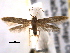  ( - BIOUG06259-C03)  @14 [ ] CreativeCommons - Attribution (2013) CBG Photography Group Centre for Biodiversity Genomics