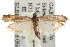  ( - BIOUG06259-C12)  @14 [ ] CreativeCommons - Attribution (2013) CBG Photography Group Centre for Biodiversity Genomics