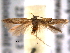  ( - BIOUG06259-E03)  @12 [ ] CreativeCommons - Attribution (2013) CBG Photography Group Centre for Biodiversity Genomics