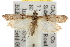  ( - BIOUG06259-E12)  @14 [ ] CreativeCommons - Attribution (2013) CBG Photography Group Centre for Biodiversity Genomics