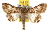  ( - BIOUG06458-B05)  @14 [ ] CreativeCommons - Attribution (2013) CBG Photography Group Centre for Biodiversity Genomics