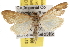  ( - BIOUG06458-B08)  @14 [ ] CreativeCommons - Attribution (2013) CBG Photography Group Centre for Biodiversity Genomics