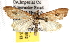  ( - BIOUG06458-B12)  @14 [ ] CreativeCommons - Attribution (2013) CBG Photography Group Centre for Biodiversity Genomics