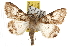  ( - BIOUG06458-E04)  @14 [ ] CreativeCommons - Attribution (2013) CBG Photography Group Centre for Biodiversity Genomics