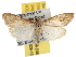  ( - BIOUG06458-E08)  @14 [ ] CreativeCommons - Attribution (2013) CBG Photography Group Centre for Biodiversity Genomics