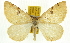  ( - BIOUG06604-D04)  @14 [ ] CreativeCommons - Attribution (2013) CBG Photography Group Centre for Biodiversity Genomics