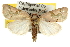  ( - BIOUG06605-E05)  @14 [ ] CreativeCommons - Attribution (2013) CBG Photography Group Centre for Biodiversity Genomics