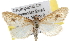  ( - BIOUG06606-A07)  @14 [ ] CreativeCommons - Attribution (2013) CBG Photography Group Centre for Biodiversity Genomics