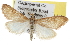  ( - BIOUG06606-A11)  @14 [ ] CreativeCommons - Attribution (2013) CBG Photography Group Centre for Biodiversity Genomics