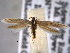  ( - BIOUG06806-D03)  @14 [ ] CreativeCommons - Attribution (2013) CBG Photography Group Centre for Biodiversity Genomics