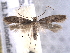  ( - BIOUG06807-A03)  @13 [ ] CreativeCommons - Attribution (2013) CBG Photography Group Centre for Biodiversity Genomics