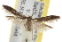  ( - BIOUG06807-A05)  @15 [ ] CreativeCommons - Attribution (2013) CBG Photography Group Centre for Biodiversity Genomics