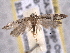  ( - BIOUG06807-E02)  @13 [ ] CreativeCommons - Attribution (2013) CBG Photography Group Centre for Biodiversity Genomics