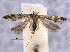  ( - BIOUG06941-H03)  @13 [ ] CreativeCommons - Attribution (2013) CBG Photography Group Centre for Biodiversity Genomics