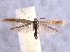  ( - BIOUG06941-H10)  @13 [ ] CreativeCommons - Attribution (2013) CBG Photography Group Centre for Biodiversity Genomics