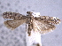  ( - BIOUG06942-D12)  @14 [ ] CreativeCommons - Attribution (2013) CBG Photography Group Centre for Biodiversity Genomics
