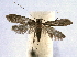  ( - BIOUG06947-A07)  @13 [ ] CreativeCommons - Attribution (2013) CBG Photography Group Centre for Biodiversity Genomics