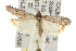 ( - BIOUG06947-C10)  @14 [ ] CreativeCommons - Attribution (2013) CBG Photography Group Centre for Biodiversity Genomics