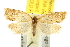  ( - BIOUG06947-E02)  @14 [ ] CreativeCommons - Attribution (2013) CBG Photography Group Centre for Biodiversity Genomics